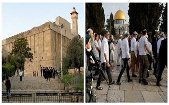 "الأوقاف الفلسطينية": 27 اقتحاما للأقصى ومنع الأذان 155 مرة في "الإبراهيمي" في يوليو الماضي