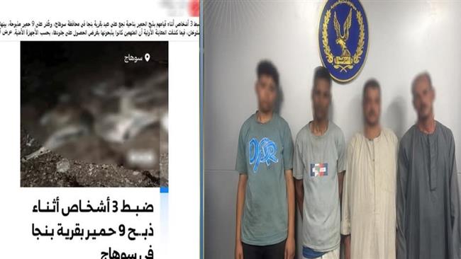 الداخلية تكشف لغز ذبح الحمير بجوار مصرف في سوهاج