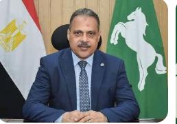 حملات لرش الناموس والحشرات الطائرة بنطاق مراكز ومدن الشرقية 