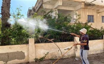 لو عندك شاليه في المصيف.. طرق آمنة لإغلاقه وحمايته من الحشرات والقوارض خلال فترة الغياب