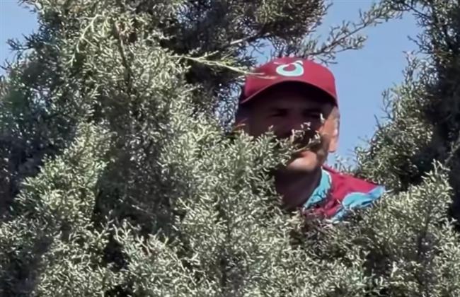جماهير طرابزون سبور تتسلق الأشجار لرؤية محمد صلاح لدى وصوله