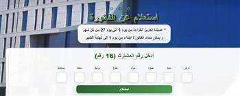 طريقة الاستعلام عن فاتورة الغاز الطبيعي إلكترونيا.. رابط مباشر
