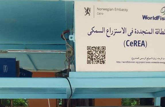 رئيسة  القومي للمرأة تشكر  محافظ كفر الشيخ لدعمه الصيادات وتعزيز التمكين الاقتصادي للمرأة