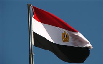 مصر تدين استهداف ناقلة نفط إماراتية في مضيق هرمز 