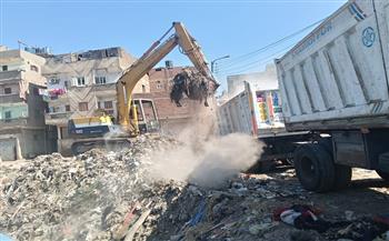 محافظ الدقهلية: رفع ونقل 580 طنًا من المخلفات الصلبة ونواتج التطهير بمركزي دكرنس وأجا