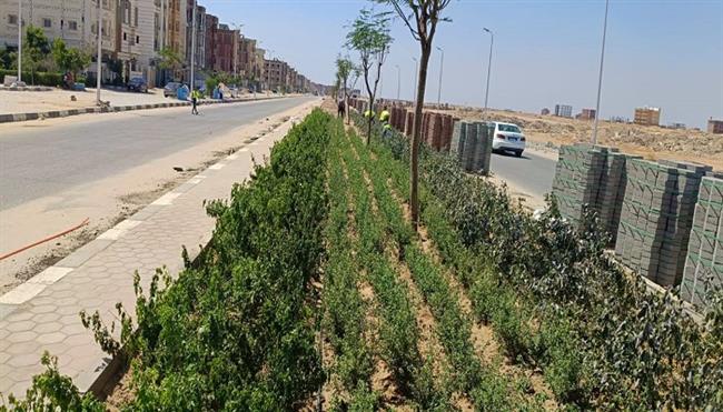 وزيرة الإسكان توجه بسرعة إنجاز المشروعات بالعاشر من رمضان وحدائقها.. اعرف التفاصيل  