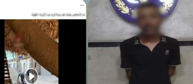 ضبط عامل بالدقهلية لاتهامه بالتعدي على سيدة مسنة بسبب خلافات مالية