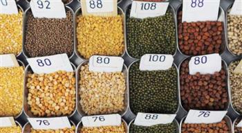 التغير المناخي والوقود الحيوي يهددان الأمن الغذائي ويدفعان أسعار المحاصيل للارتفاع