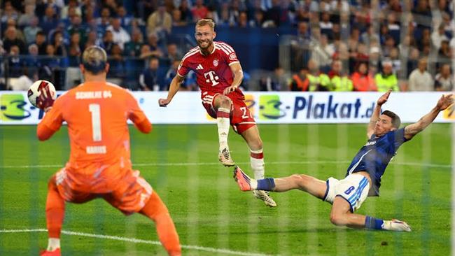 دوري أبطال أوروبا.. موعد مباراة بايرن ميونخ وبودو جليمت     