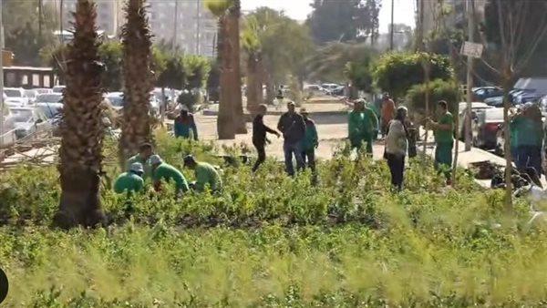 تخضير القاهرة.. خطة الدولة لحصر الأراضي الفضاء وتحويلها إلى متنزهات ومسطحات خضراء