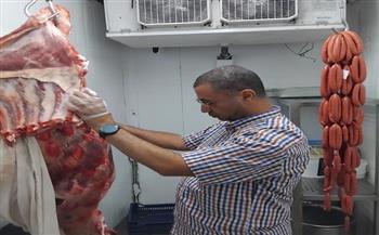 بيطري المنيا: ضبط لحوم بلدية ومجمدة غير صالحة للاستهلاك الأدمي