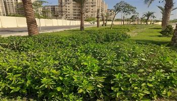 مشروعات مرافق وطرق وحملات إزالة.. ماذا يحدث في الشيخ زايد وحدائق أكتوبر؟