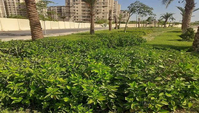 مشروعات مرافق وطرق وحملات إزالة.. ماذا يحدث في الشيخ زايد وحدائق أكتوبر؟