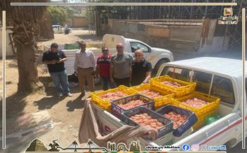 التحفظ على 700 كجم من صدور وهياكل الدجاج غير صالحة للاستهلاك ببني سويف