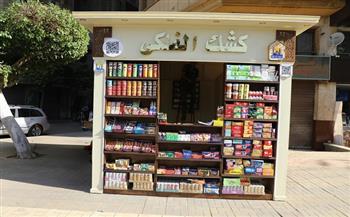 محافظ القاهرة يعلن بدء تطبيق منظومة الأكشاك الموحدة بأحياء العاصمة وتوفيق أوضاع 2739 كشكًا 