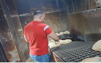 محافظ الغربية يتابع الحملات التموينية ويشدد على ضبط منظومة الخبز المدعم
