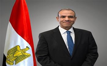 وزير الخارجية: نعتز باستضافة قمة الاتحاد الإفريقي التنسيقية على الأرض المصرية