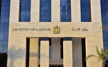 وزير العمل: نشرة التوظيف الأسبوعية تطرح 2343 فرصة عمل في 26 شركة خاصة بـ12 محافظة