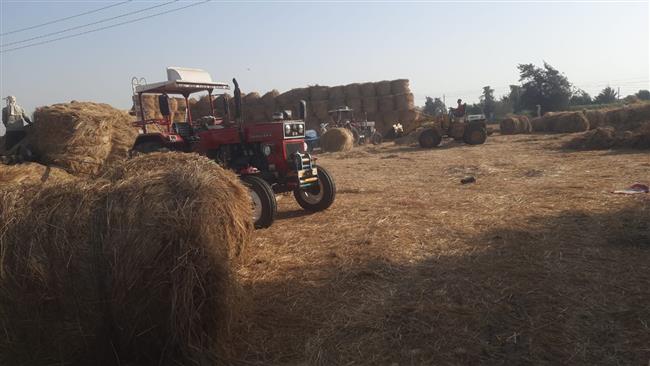 وزيرة التنمية المحلية والبيئة تستعرض حصاد جهود مواجهة تلوث الهواء الحادة خلال النصف الأول من سبتمبر