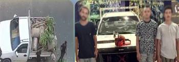 ضبط 4 أشخاص لاتهامهم بتقطيع أشجار وتحميلها على سيارة بالإسكندرية