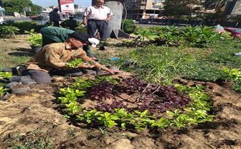 محافظة الجيزة تتوسع في زيادة المساحات الخضراء وتجميل الطرق والميادين بالدقي والعجوزة والعمرانية