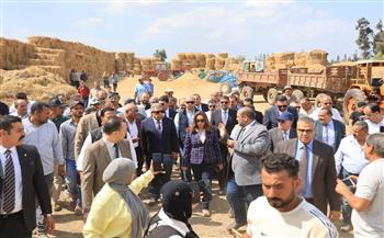 وزيرة التنمية المحلية والبيئة في الدقهلية.. 66% انخفاضًا في نقاط حرق قش الأرز