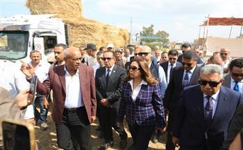 وزيرة التنمية المحلية والبيئة ومحافظ الدقهلية يتفقدان موقع تجميع قش الأرز في مركز بلقاس