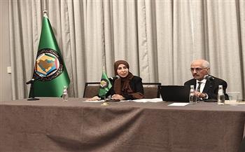 وزيرة الخارجية اليمنية تؤكد أهمية نزع سلاح الجماعات المسلحة ودعم مؤسسات الدولة