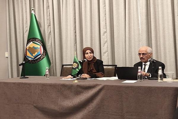 وزيرة الخارجية اليمنية تؤكد أهمية نزع سلاح الجماعات المسلحة ودعم مؤسسات الدولة