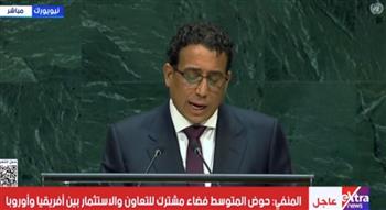 المنفي يعلن ترشح ليبيا لعضوية مجلس الأمن للفترة 2028 / 2029 على المقعد الأفريقي