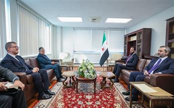 الأمين العام لجامعة الدول العربية يلتقي الرئيس السوري لبحث التطورات المتسارعة إقليميا ودوليا