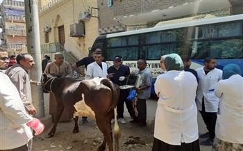 جامعة قنا تواصل خدماتها المجتمعية بقافلة بيطرية وزراعية بقرية نجع الترعة بنقادة