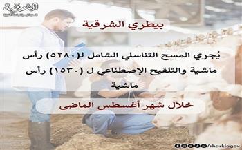 بيطري الشرقية يجري مسحاً تناسلياً لـ 5280 رأس ماشية وينفذ برامج للتحسين الوراثي خلال أغسطس 2026
