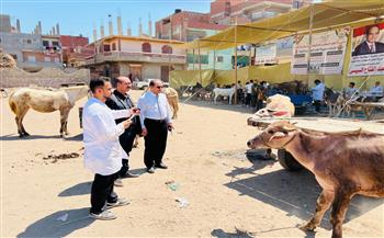 محافظ الدقهلية: قافلة بيطرية تعالج وتحصّن 1120 حيوانًا بقرية بالسنبلاوين