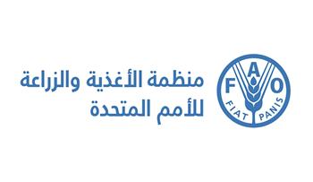 "الفاو": أسعار الغذاء العالمية بلغت أعلى مستوياتها منذ 2022