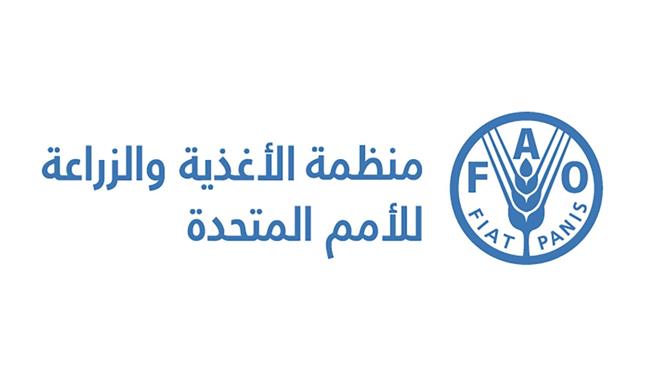 "الفاو": أسعار الغذاء العالمية بلغت أعلى مستوياتها منذ 2022