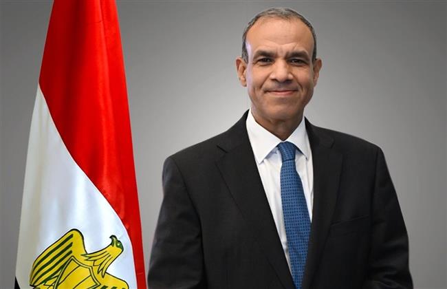 وزير الخارجية: أمن البحرين ودول الخليج جزء لا يتجزأ من الأمن القومي المصري