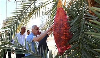رئيس جامعة أسيوط يتفقد مزارع الجامعة بالوادي الأسيوطي والغريب ويوجه بتعظيم الاستفادة من إمكاناتها الإنتاجية