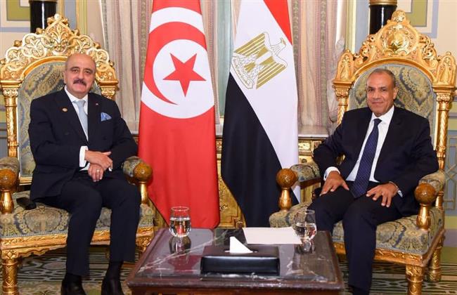 وزير الخارجية يلتقي نظيره التونسي بالقاهرة