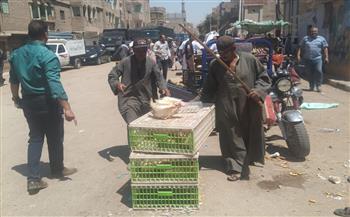 محافظ أسيوط: حملة إشغالات مكبرة بقرية موشا لفرض الانضباط وفتح الطرق أمام حركة المواطنين