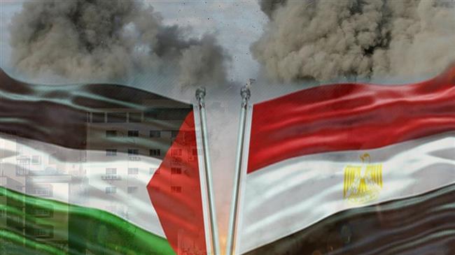 الهيئة الدولية لدعم فلسطين: هناك محاولات لتغير النظام الإقليمي.. ومصر رأس الحربة في التصدي لها