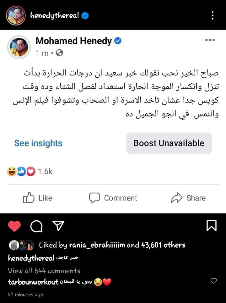 محمد هنيدي