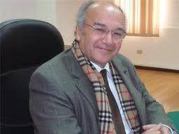 محمود فوزي أحمد المناوي 