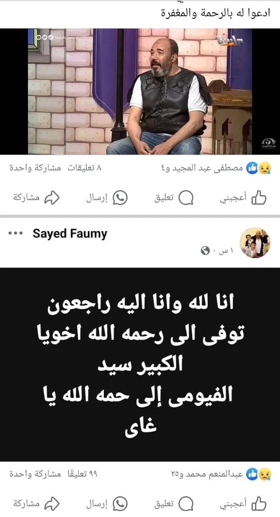 سيد الفيومي 