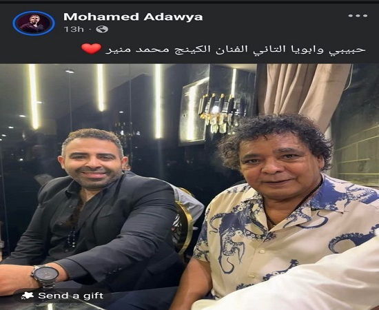 محمد عدوية 