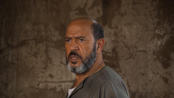 السادة الأفاضل